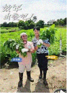 拆解大师竞技综艺在线